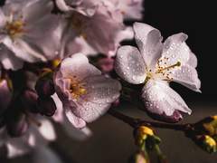 오늘, 내일, 아니면 그 후라도.