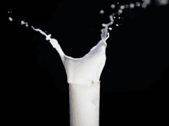 우월한 유전자 (1)