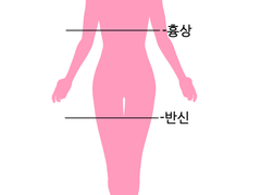 커미션 공지사항