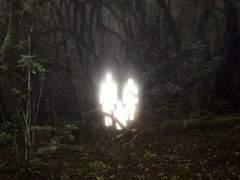 귀신한테 아다 따인 썰