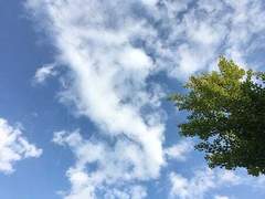 여름을 좋아하세요?