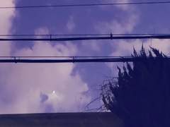 [크리라일] 오늘 밤은 어둠이 무서워요