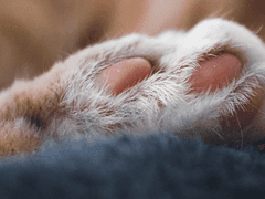 장르마다 사용하는 감각이 좀 다르다고 해야 할까요.