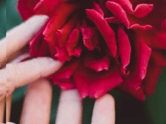 오늘의 색깔 1화