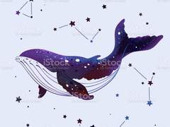 [바니타스] 짧은 인사 (with. 헤일로)