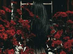 𝐑𝐨𝐬𝐞𝐮𝐬