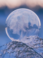 겨울선풍기_창른