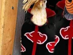 일찐으로다니면서가오잡은썰