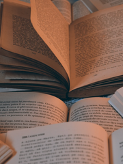 이럴거면 중학교때 열심히 살지 말걸 그랬어.