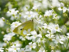 절대 잊어서는 안되지,