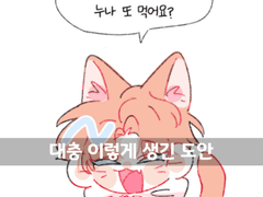 차윶 투명포카