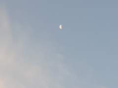 나의 영원이 되어줄 그대에게