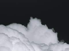 로즈레이, 보가트