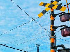 난 많은 걸 사랑했고 누구도 좋아하지 않았다.