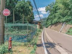 한 여름밤의 꿈