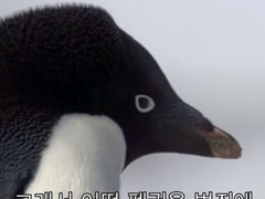 덕몽했는데 바보안관 된 썰 푼다