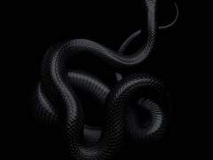 특명, 이미테이션 김여주 Profile