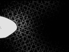 토토가 보이지 않아요!