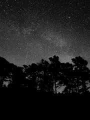 2022년 마지막 일기장