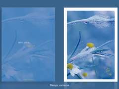 [레디메이드] 들꽃 (81)