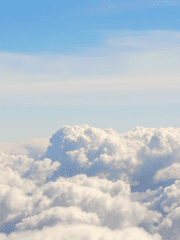 학원물에 배구부 끼얹기