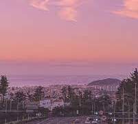 그대가 내 곁에 머물던 모든 날이 봄이었다.