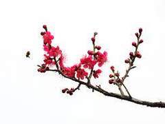 [화산귀환] 업業