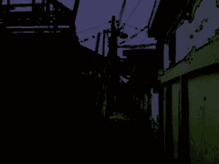 속은 사람이 문제지.