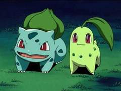 2023 계묘년 2022 임인년: 식물을 키우는 / 초록색을 좋아하는 사람들의 해