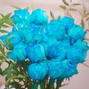 ❄🌹아이스로즈🌹❄