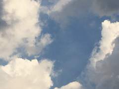 금쪽같은 내새끼(1)