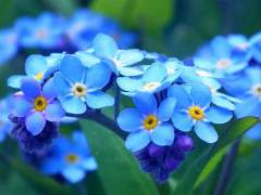 변하더라도 상관없어요.