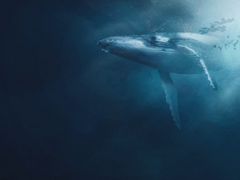 [꿈빛파티시엘]재능충