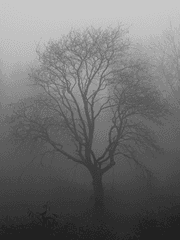 [COC] 크툴루의 부름