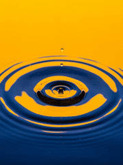 세상에 중심, 가온