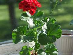 얀테의 법칙/이도은