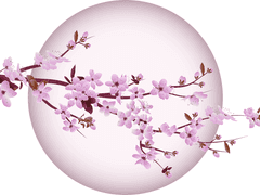 그는 영원과도 같은 미소를 지었다.