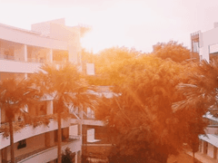 원피스 드림 [이조우] 네가 무사해서 다행이야.