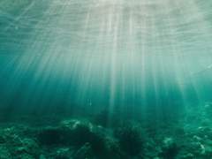 25화: 열두 번째 꿈 <물에 잠긴 세계>