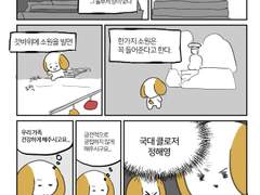 소원을 이뤄주는 갓바위