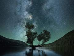 29화: 열네 번째 꿈 <요정의 가게> (2)