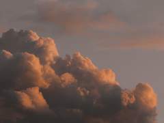 37화: 스무 번째 꿈 <한 폭의 명화처럼> (1)