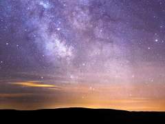 가리지 못하여 진실을 마주한 검은 뱀