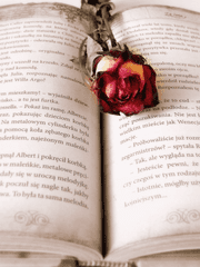 [뜰tv] 단편모음. (팬소설)