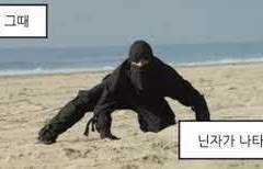 21세기 닌자