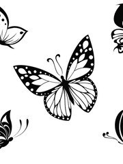 [벨릭] 나비와 잉크