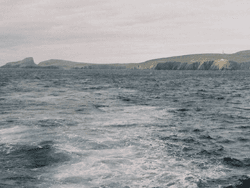 chapter 1. AND THEN THERE WERE NONE (2)