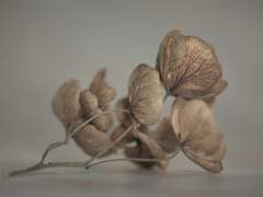 [악의 마음을 읽는 자들][하영태구] 인사