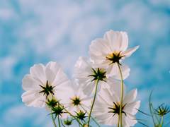 아름다워 버린 것