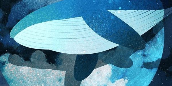 [원피스/드림주 프로필]: 먼지의 작은 도서관